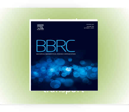 Targeting IL-6/STAT3 signaling to mitigate sarcopenia: Insights from immuno-metabolic crosstalk...